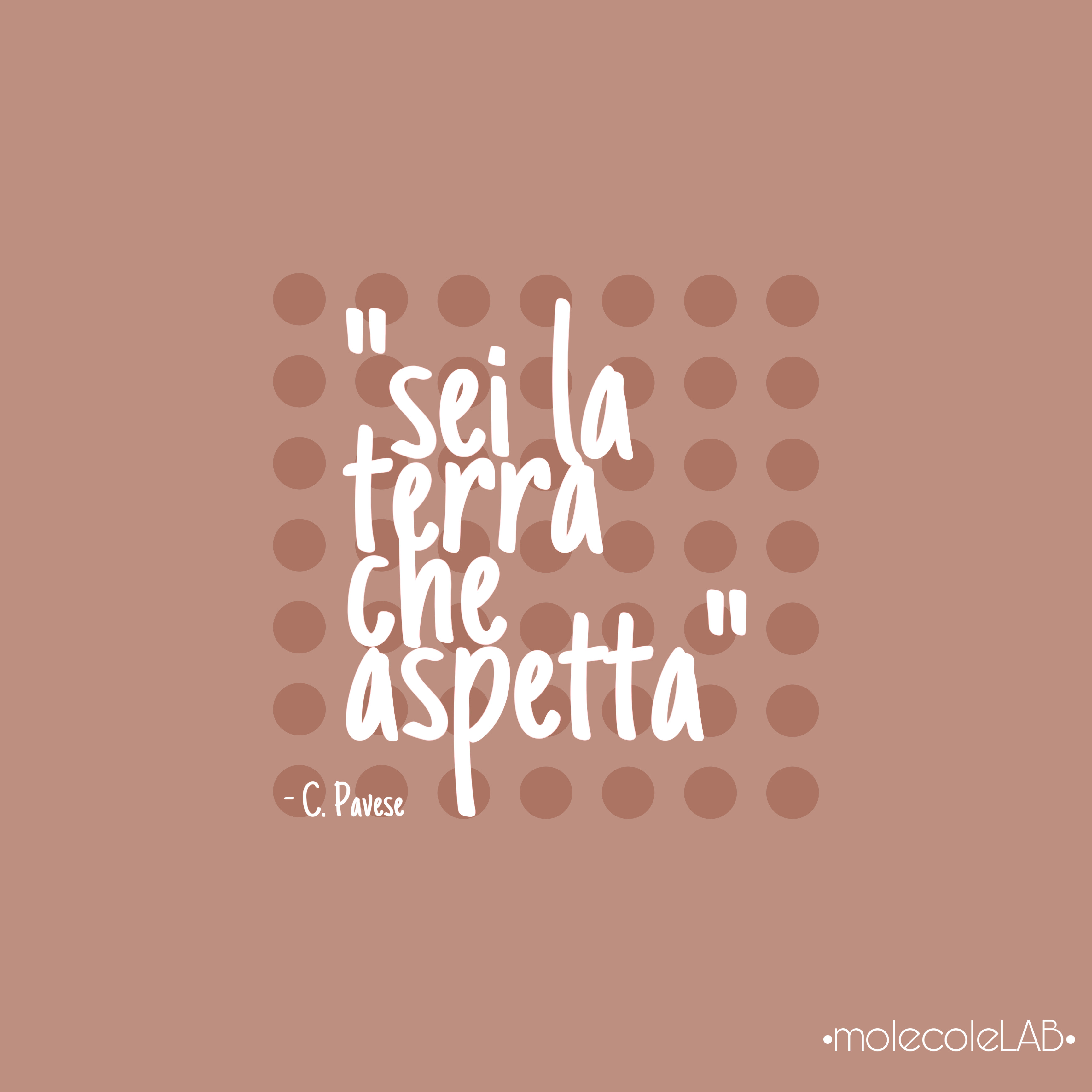 QUANDO LA SCIENZA E’ ARTE